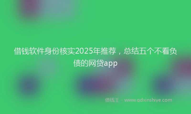 借钱软件身份核实2025年推荐，总结五个不看负债的网贷app