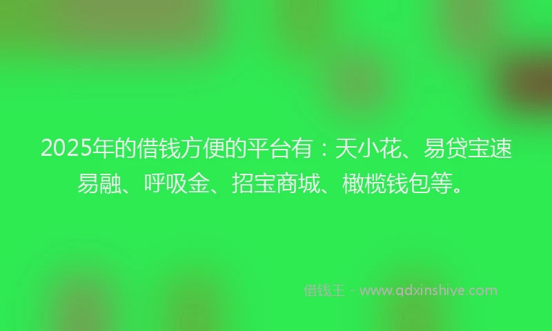 2025年的借钱方便的平台有：天小花、易贷宝速易融、呼吸金、招宝商城、橄榄钱包等。