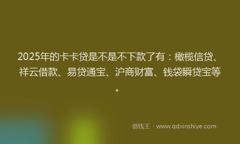2025年的卡卡贷是不是不下款了有：橄榄信贷、祥云借款、易贷通宝、沪商财富、钱袋瞬贷宝等。