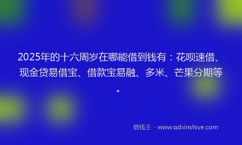 2025年的十六周岁在哪能借到钱有：花呗速借、现金贷易借宝、借款宝易融、多米、芒果分期等。