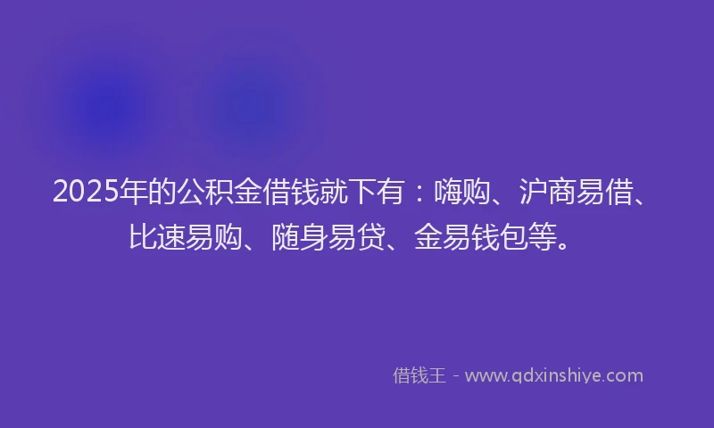 2025年的公积金借钱就下有：嗨购、沪商易借、比速易购、随身易贷、金易钱包等。