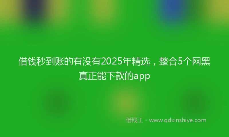借钱秒到账的有没有2025年精选，整合5个网黑真正能下款的app