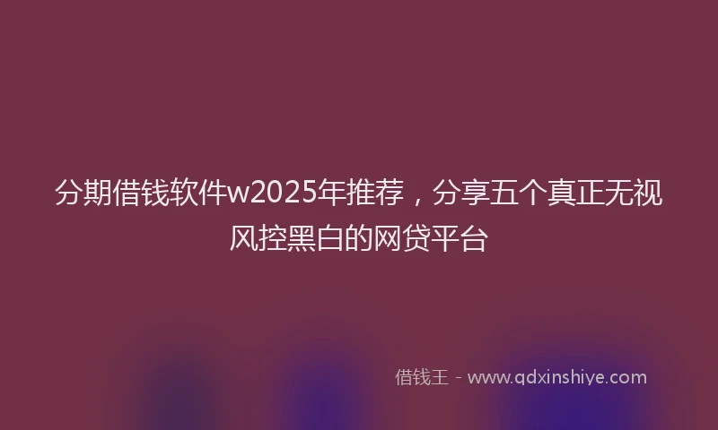 分期借钱软件w2025年推荐，分享五个真正无视风控黑白的网贷平台