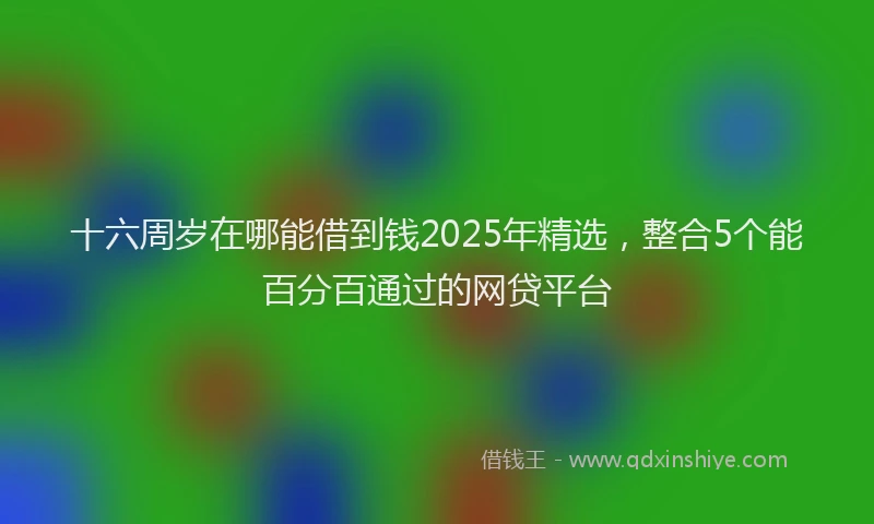 十六周岁在哪能借到钱2025年精选，整合5个能百分百通过的网贷平台