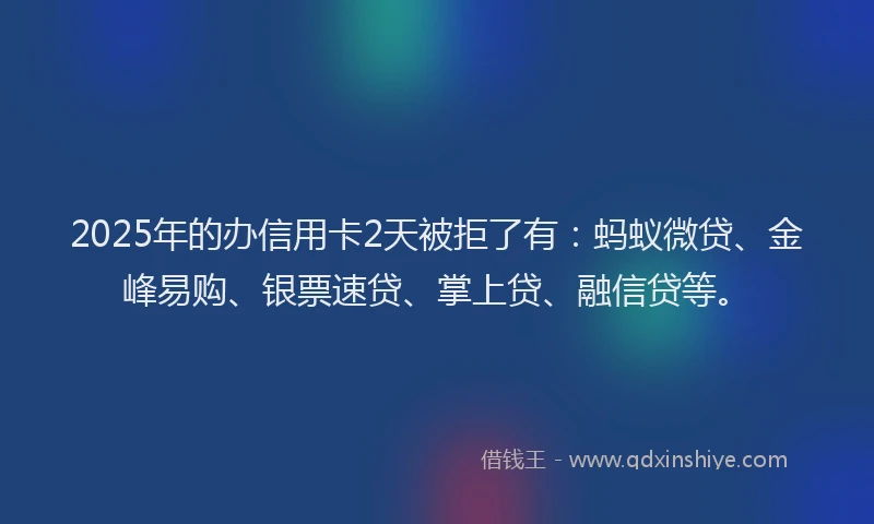 2025年的办信用卡2天被拒了有：蚂蚁微贷、金峰易购、银票速贷、掌上贷、融信贷等。