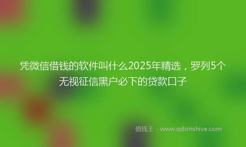 凭微信借钱的软件叫什么2025年精选，罗列5个无视征信黑户必下的贷款口子
