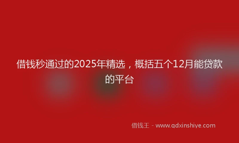 借钱秒通过的2025年精选，概括五个12月能贷款的平台