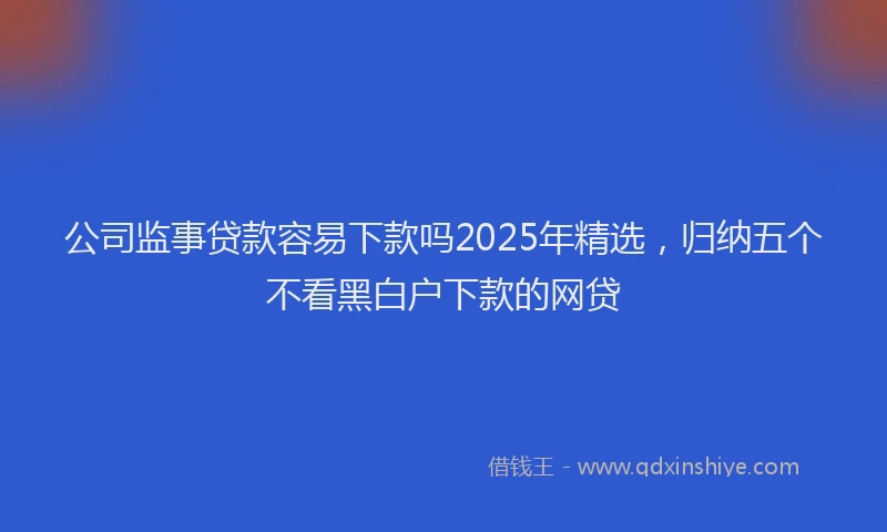 公司监事贷款容易下款吗2025年精选，归纳五个不看黑白户下款的网贷