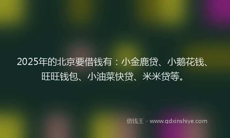 2025年的北京要借钱有：小金鹿贷、小鹅花钱、旺旺钱包、小油菜快贷、米米贷等。