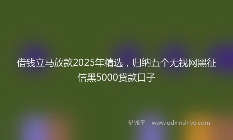 借钱立马放款2025年精选，归纳五个无视网黑征信黑5000贷款口子
