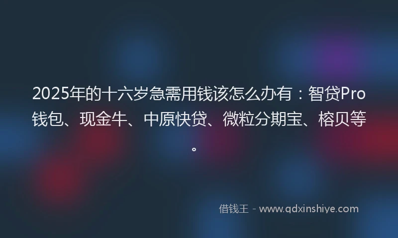 2025年的十六岁急需用钱该怎么办有：智贷Pro钱包、现金牛、中原快贷、微粒分期宝、榕贝等。