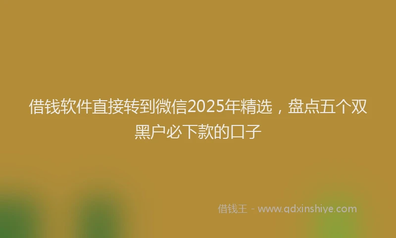 借钱软件直接转到微信2025年精选，盘点五个双黑户必下款的口子