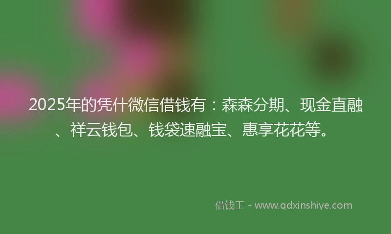 2025年的凭什微信借钱有：森森分期、现金直融、祥云钱包、钱袋速融宝、惠享花花等。