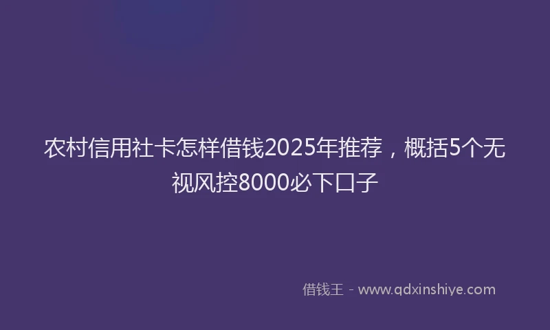 农村信用社卡怎样借钱2025年推荐，概括5个无视风控8000必下口子