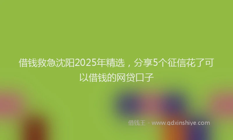 借钱救急沈阳2025年精选，分享5个征信花了可以借钱的网贷口子