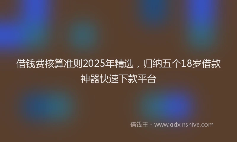 借钱费核算准则2025年精选，归纳五个18岁借款神器快速下款平台