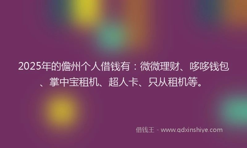 2025年的儋州个人借钱有：微微理财、哆哆钱包、掌中宝租机、超人卡、只从租机等。