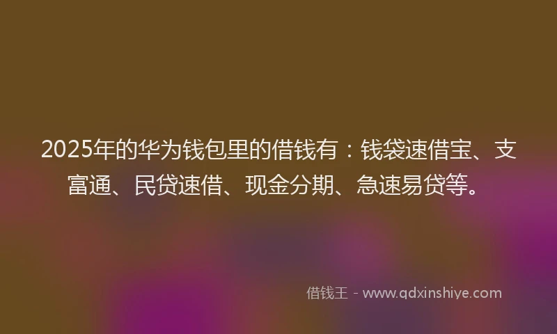 2025年的华为钱包里的借钱有：钱袋速借宝、支富通、民贷速借、现金分期、急速易贷等。