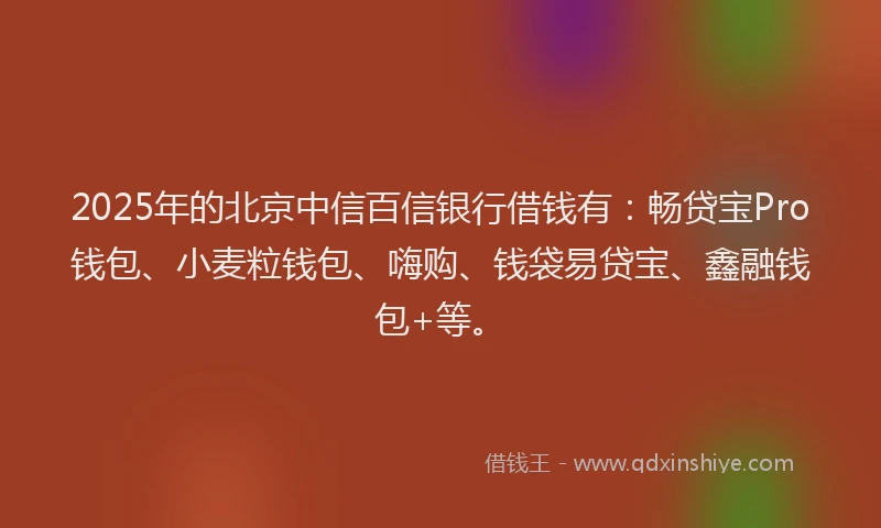 2025年的北京中信百信银行借钱有：畅贷宝Pro钱包、小麦粒钱包、嗨购、钱袋易贷宝、鑫融钱包+等。