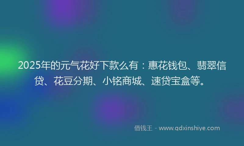 2025年的元气花好下款么有：惠花钱包、翡翠信贷、花豆分期、小铭商城、速贷宝盒等。