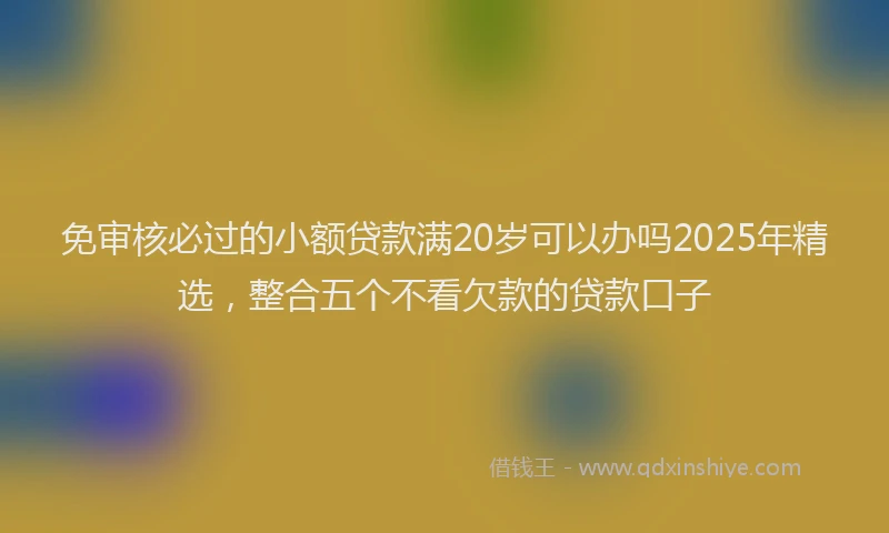 免审核必过的小额贷款满20岁可以办吗2025年精选，整合五个不看欠款的贷款口子