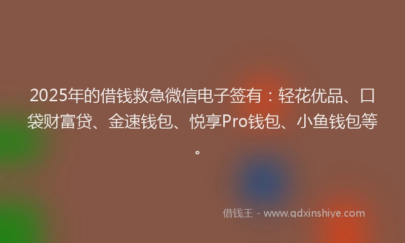 2025年的借钱救急微信电子签有：轻花优品、口袋财富贷、金速钱包、悦享Pro钱包、小鱼钱包等。
