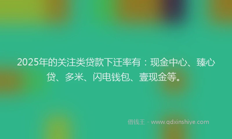 2025年的关注类贷款下迁率有：现金中心、臻心贷、多米、闪电钱包、壹现金等。