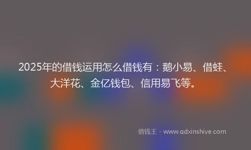 2025年的借钱运用怎么借钱有：鹅小易、借蛙、大洋花、金亿钱包、信用易飞等。