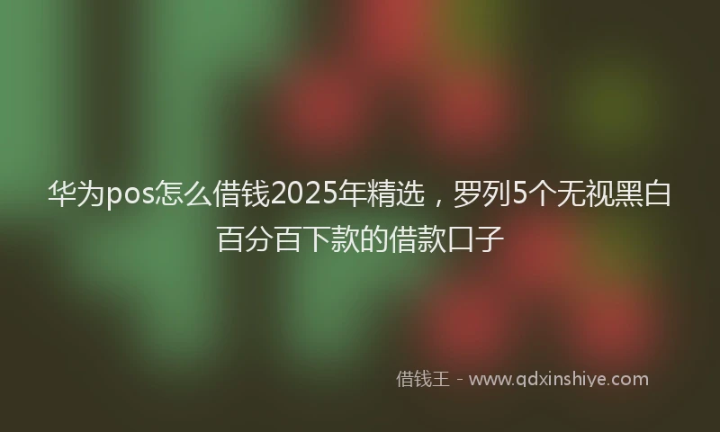 华为pos怎么借钱2025年精选，罗列5个无视黑白百分百下款的借款口子