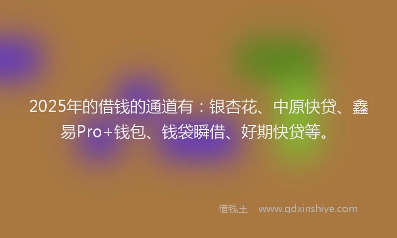 2025年的借钱的通道有：银杏花、中原快贷、鑫易Pro+钱包、钱袋瞬借、好期快贷等。
