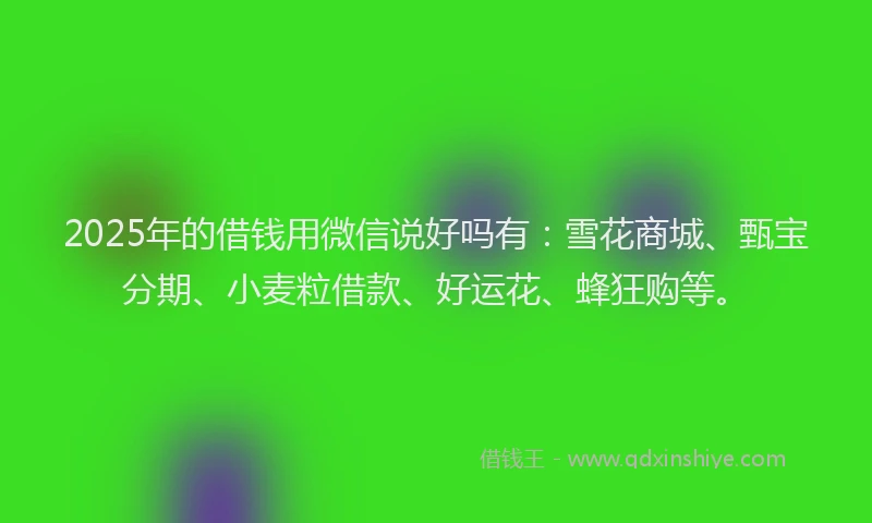 2025年的借钱用微信说好吗有：雪花商城、甄宝分期、小麦粒借款、好运花、蜂狂购等。