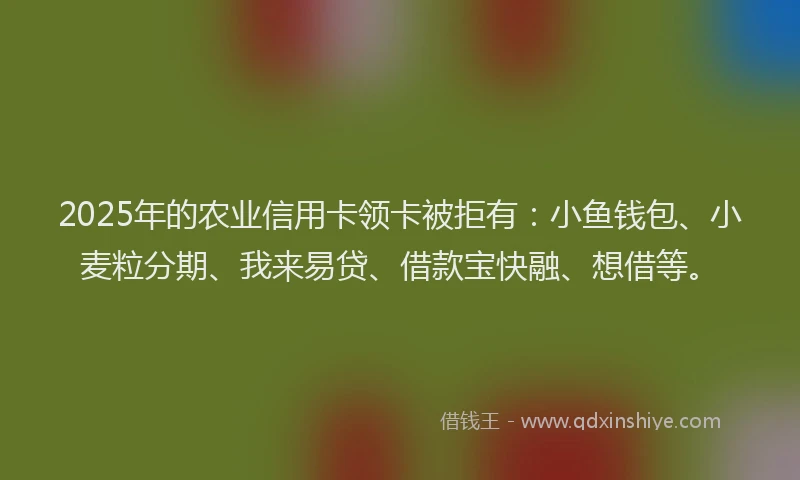 2025年的农业信用卡领卡被拒有：小鱼钱包、小麦粒分期、我来易贷、借款宝快融、想借等。