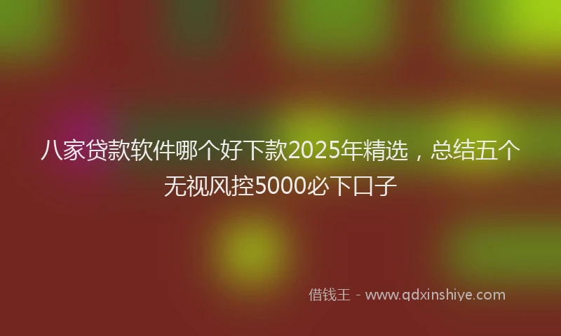 八家贷款软件哪个好下款2025年精选，总结五个无视风控5000必下口子