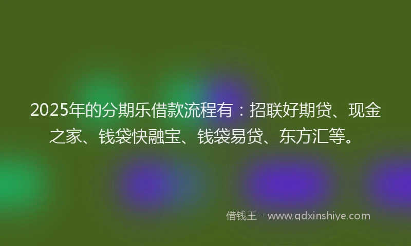 2025年的分期乐借款流程有：招联好期贷、现金之家、钱袋快融宝、钱袋易贷、东方汇等。