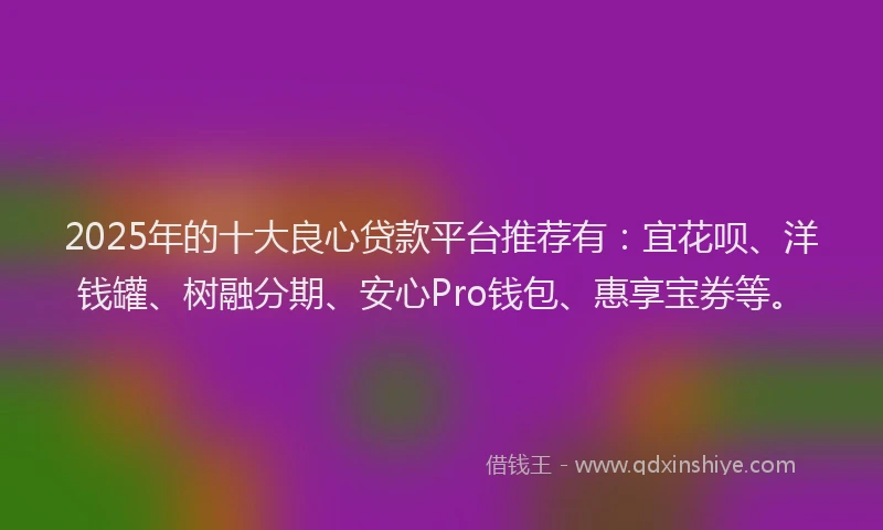 2025年的十大良心贷款平台推荐有：宜花呗、洋钱罐、树融分期、安心Pro钱包、惠享宝券等。