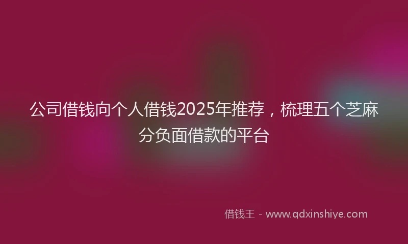 公司借钱向个人借钱2025年推荐，梳理五个芝麻分负面借款的平台