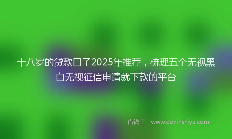 十八岁的贷款口子2025年推荐，梳理五个无视黑白无视征信申请就下款的平台