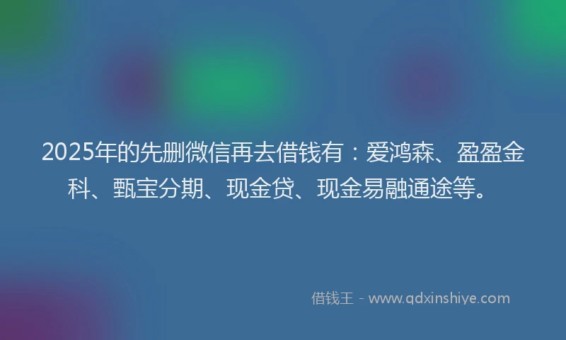 2025年的先删微信再去借钱有：爱鸿森、盈盈金科、甄宝分期、现金贷、现金易融通途等。