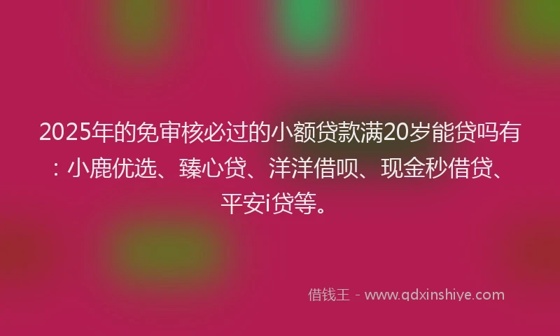 2025年的免审核必过的小额贷款满20岁能贷吗有：小鹿优选、臻心贷、洋洋借呗、现金秒借贷、平安i贷等。