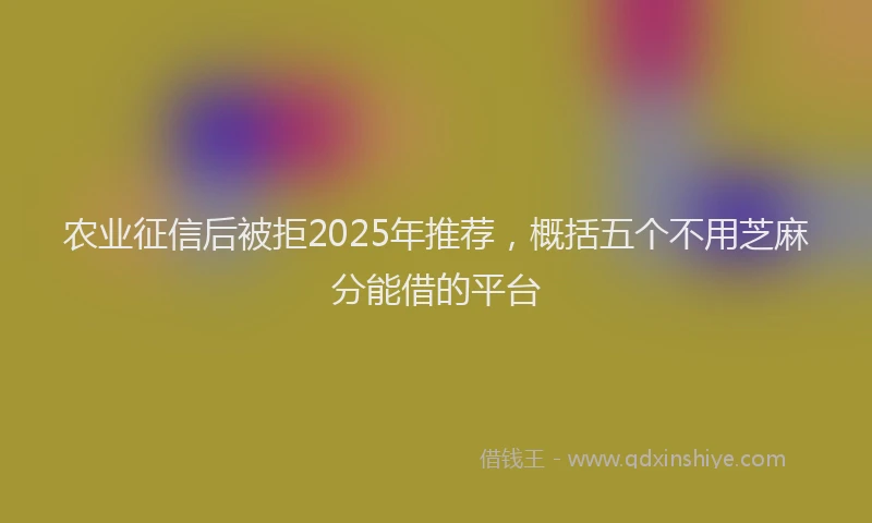 农业征信后被拒2025年推荐，概括五个不用芝麻分能借的平台