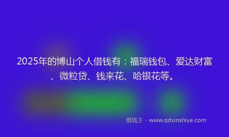 2025年的博山个人借钱有：福瑞钱包、爱达财富、微粒贷、钱来花、哈银花等。