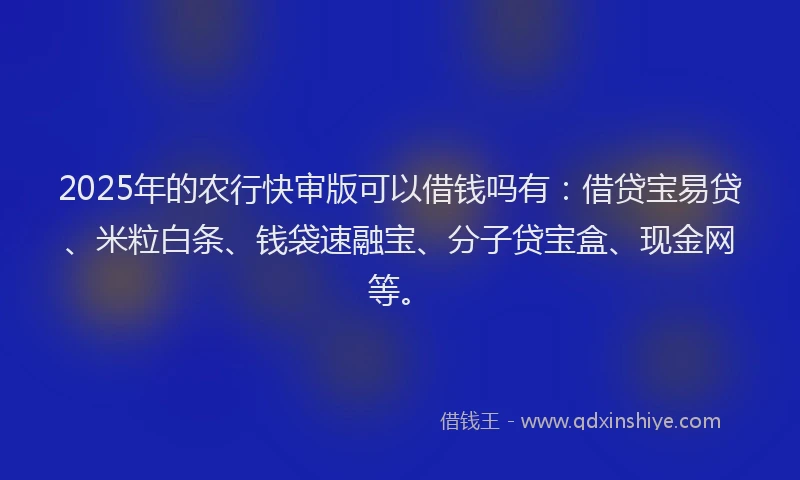 2025年的农行快审版可以借钱吗有：借贷宝易贷、米粒白条、钱袋速融宝、分子贷宝盒、现金网等。