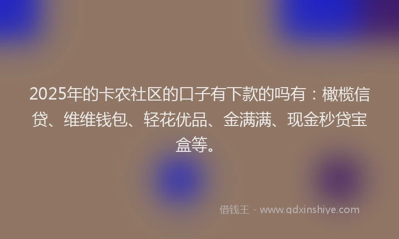 2025年的卡农社区的口子有下款的吗有：橄榄信贷、维维钱包、轻花优品、金满满、现金秒贷宝盒等。