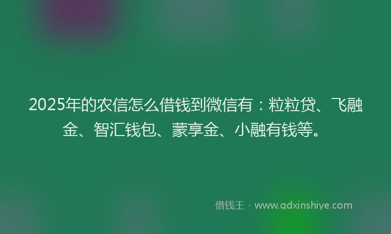 2025年的农信怎么借钱到微信有：粒粒贷、飞融金、智汇钱包、蒙享金、小融有钱等。