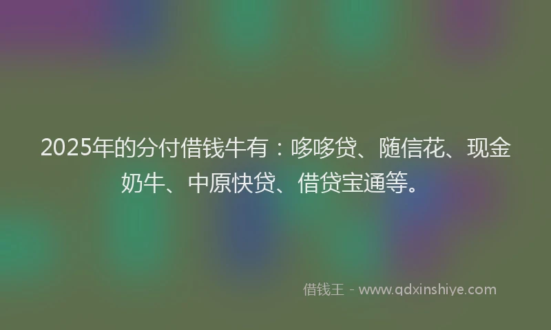 2025年的分付借钱牛有：哆哆贷、随信花、现金奶牛、中原快贷、借贷宝通等。