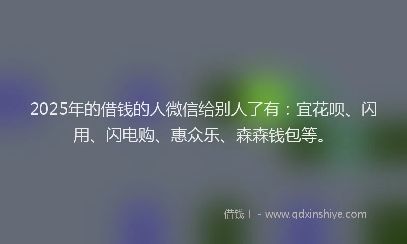2025年的借钱的人微信给别人了有：宜花呗、闪用、闪电购、惠众乐、森森钱包等。