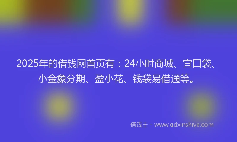 2025年的借钱网首页有：24小时商城、宜口袋、小金象分期、盈小花、钱袋易借通等。