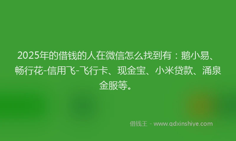 2025年的借钱的人在微信怎么找到有：鹅小易、畅行花-信用飞-飞行卡、现金宝、小米贷款、涌泉金服等。