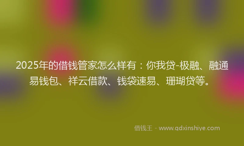 2025年的借钱管家怎么样有：你我贷-极融、融通易钱包、祥云借款、钱袋速易、珊瑚贷等。