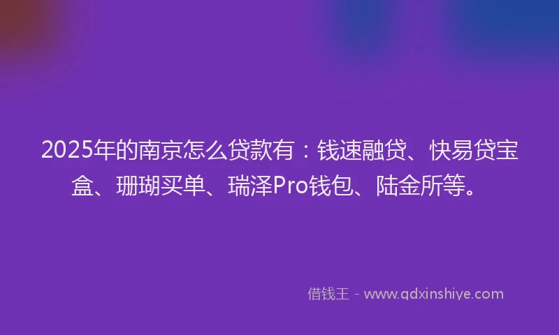 2025年的南京怎么贷款有：钱速融贷、快易贷宝盒、珊瑚买单、瑞泽Pro钱包、陆金所等。